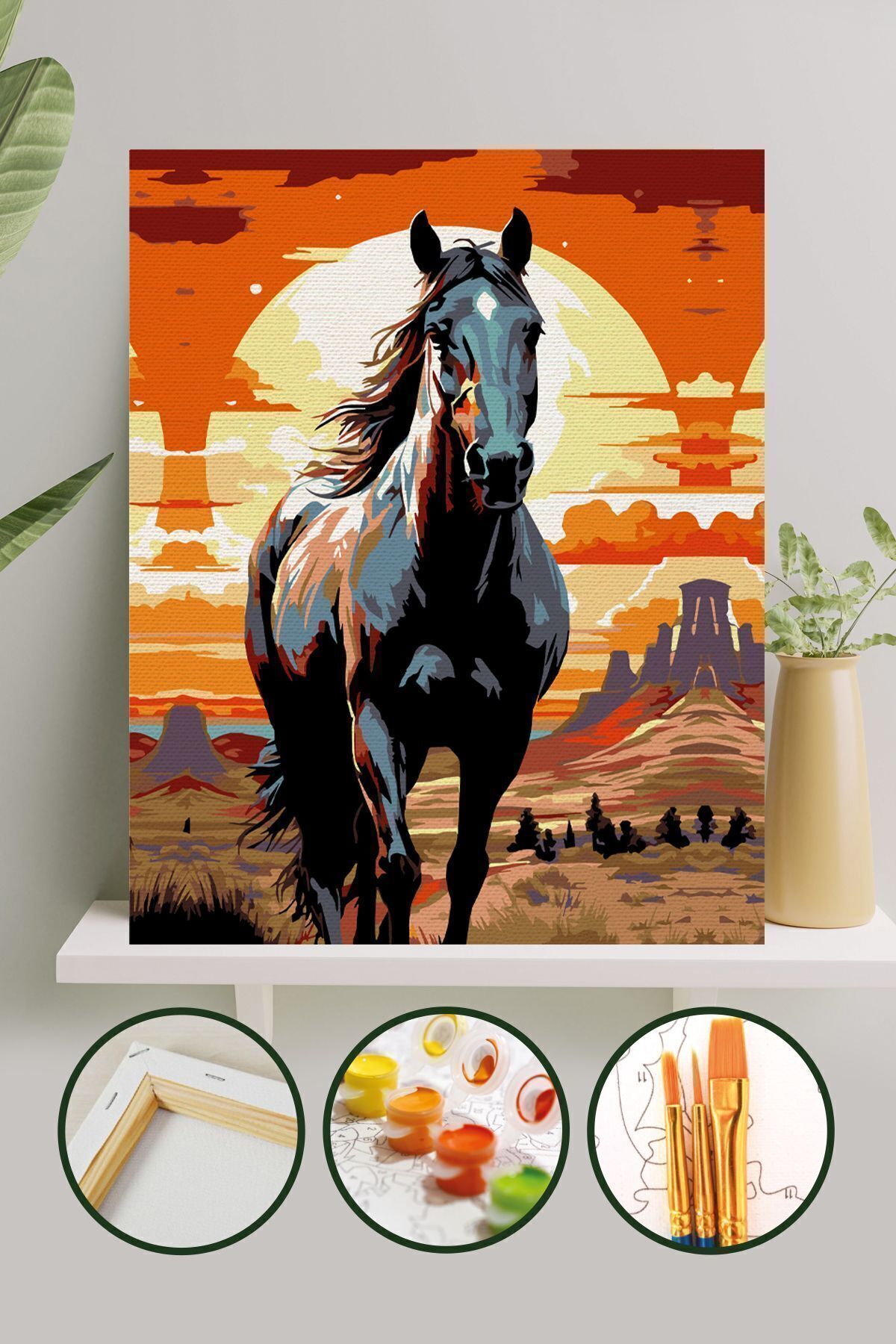 Sayılarla Boyama Tuval Seti Fırça Boya Dahil (Çıtalı) 40x50 CM - Siyah İnci