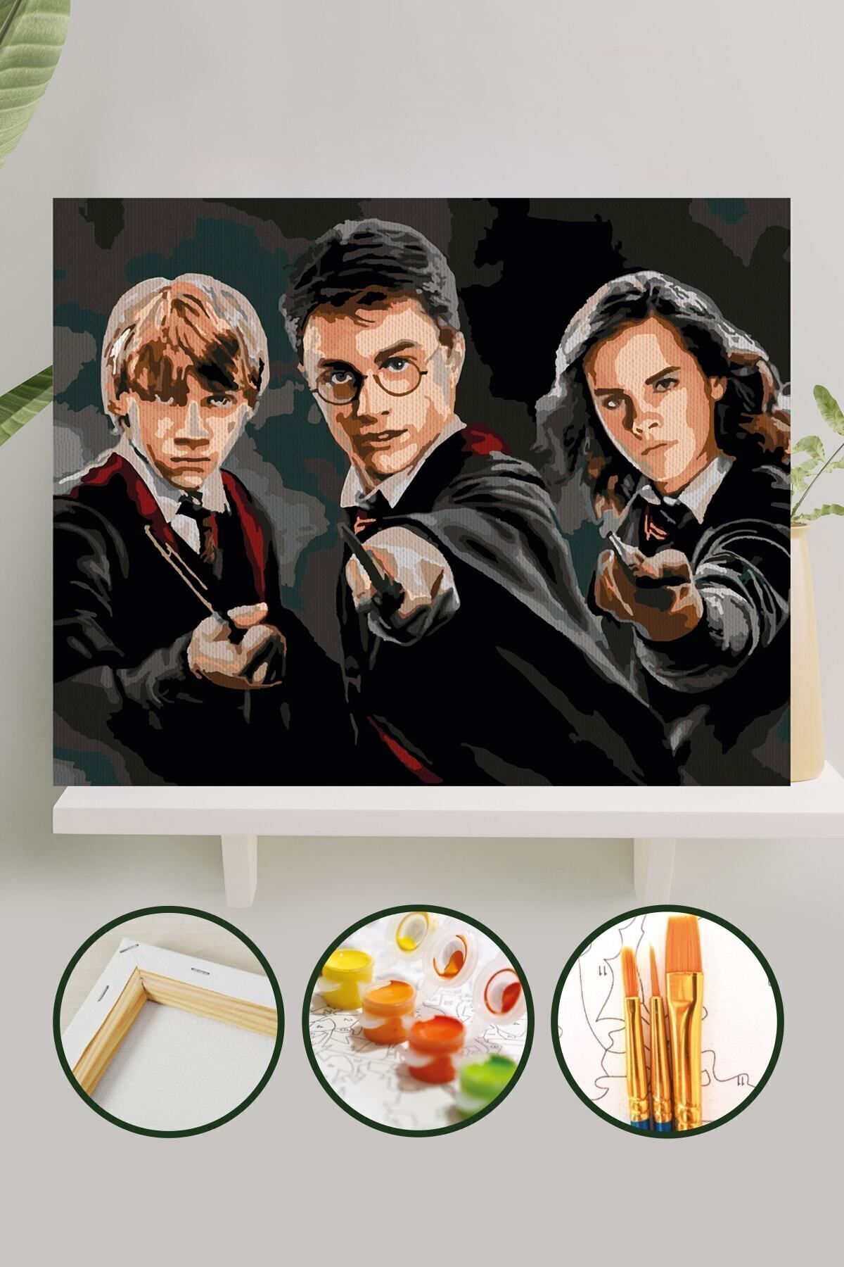 Sayılarla Boyama Tuval Seti Fırça Boya Dahil (çıtalı) 40x50 Cm - Harry Potter