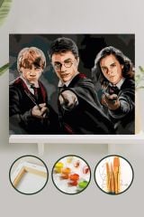 Sayılarla Boyama Tuval Seti Fırça Boya Dahil (çıtalı) 40x50 Cm - Harry Potter