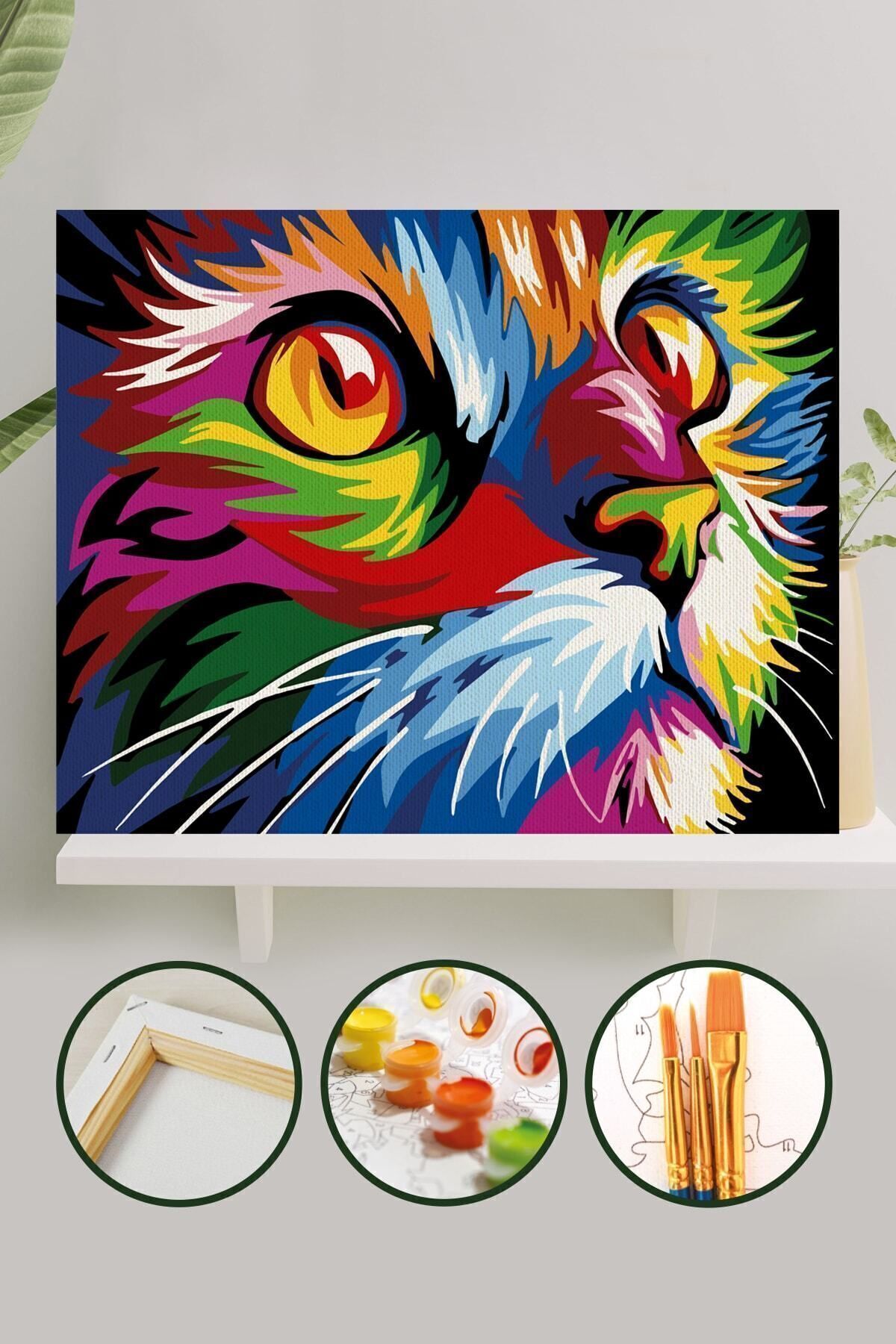 Sayılarla Boyama Tuval Seti Fırça Boya Dahil (çıtalı) 40x50 Cm - Renkli Kedi