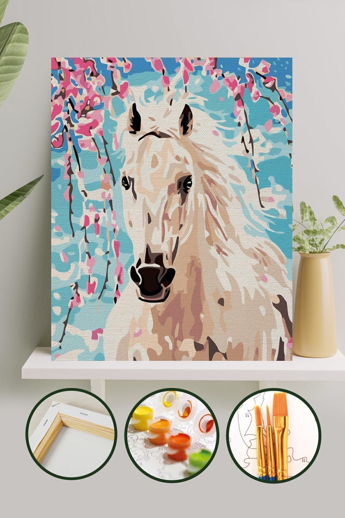 Sayılarla Boyama Tuval Seti Fırça Boya Dahil (Çıtalı) 40x50 CM - Beyaz At