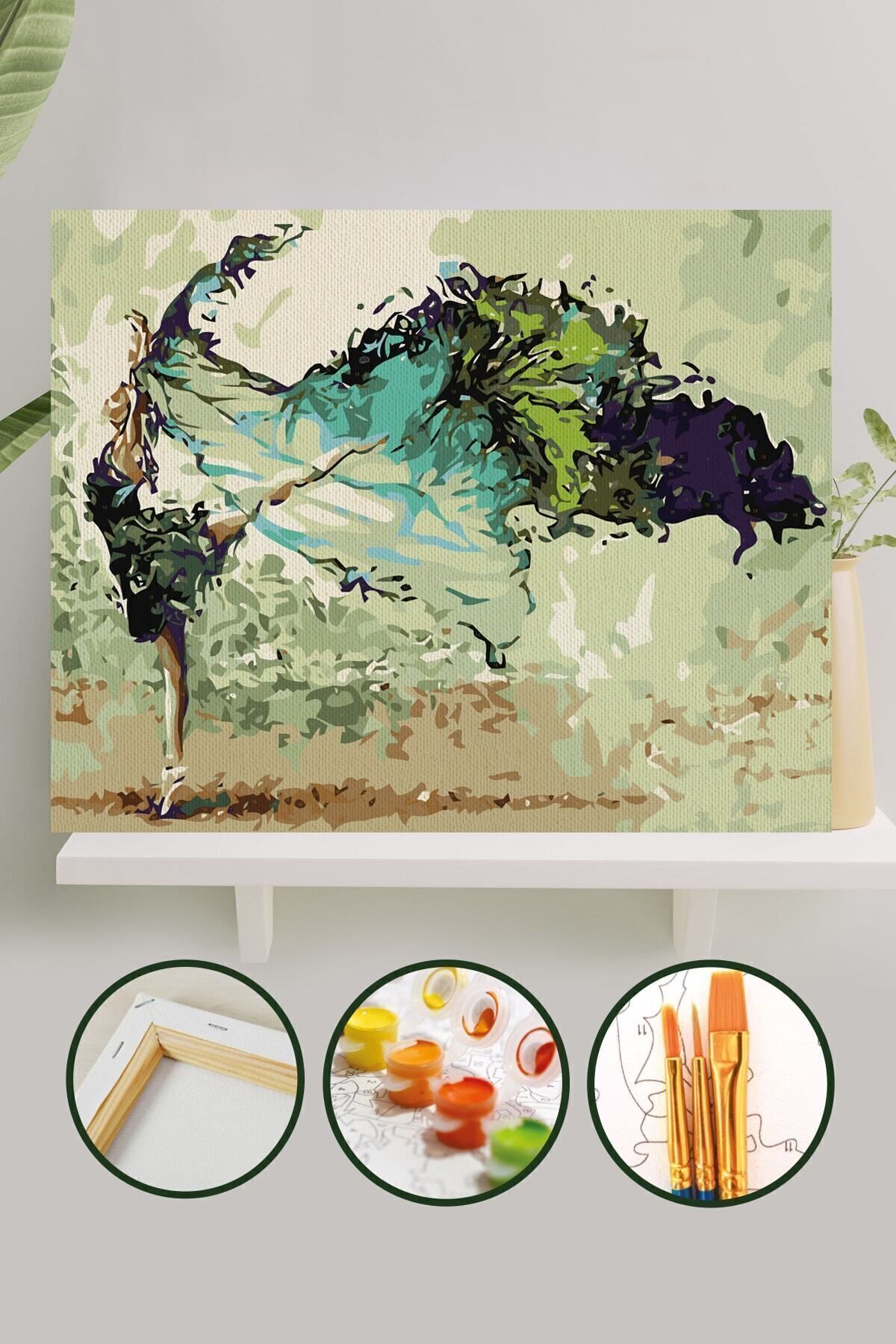 Sayılarla Boyama Tuval Seti Fırça Boya Dahil (Çıtalı) 40x50 CM - Balerin